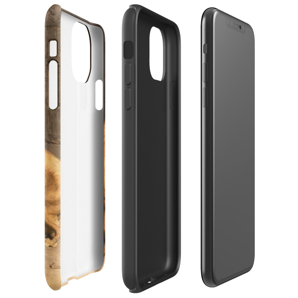 Daniel in the Lion´s Den, Briton Riviére