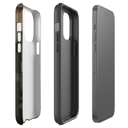 Robin Hood last Arrow, Daniel Maclise